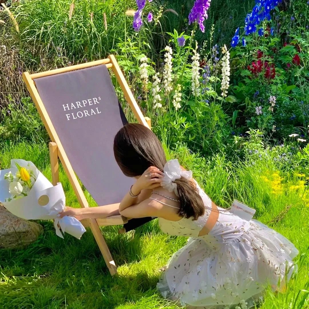 雪山飞狐之塞北宝藏